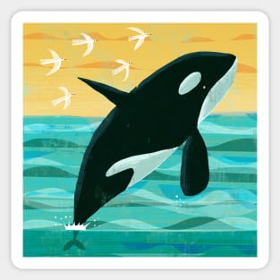 Killer Whale Sticker